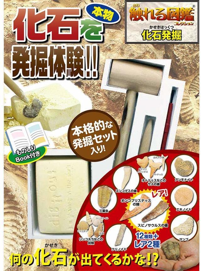 触れる図鑑シリーズ vol.04 化石発掘,恐竜,おもちゃ,おすすめ