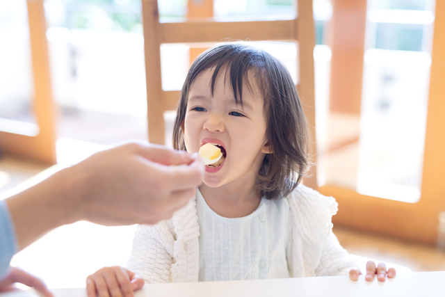大人の椅子で食事する子ども,ベビーチェアベルト,選び方,おすすめ