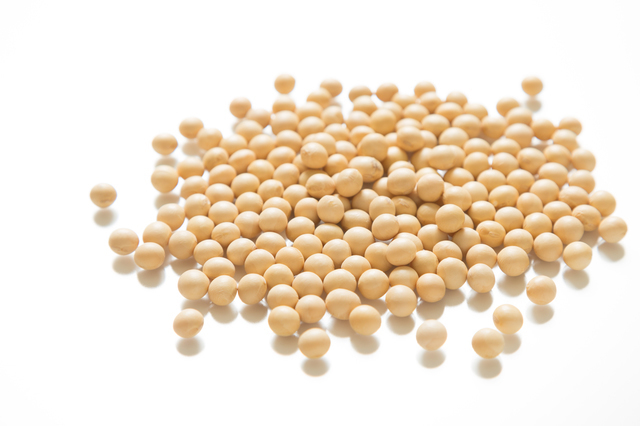 大豆,離乳食,豆腐ハンバーグ,