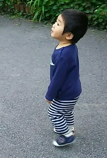1歳の子ども,おむつ,Lサイズ,