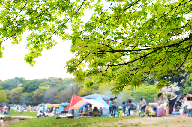 バーベキューイメージ ピクスタ,広島,バーベキュー,手ぶら