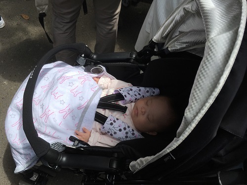 ベビーカーに乗った赤ちゃん,上野動物園,