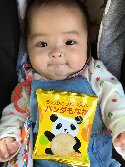 パンダもなかと赤ちゃん,上野動物園,