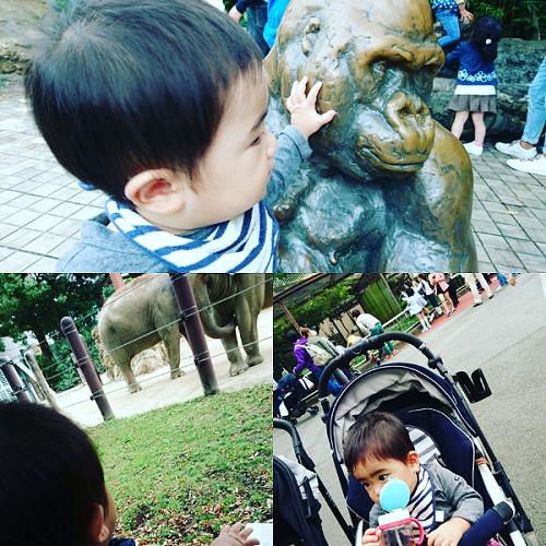 上野動物園を満喫する赤ちゃん,上野動物園,