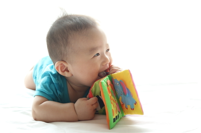 布絵本で遊ぶ赤ちゃん,赤ちゃん,布絵本,