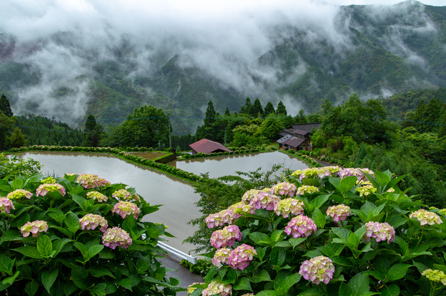 雨の日,レインカバー,ベビーカー,