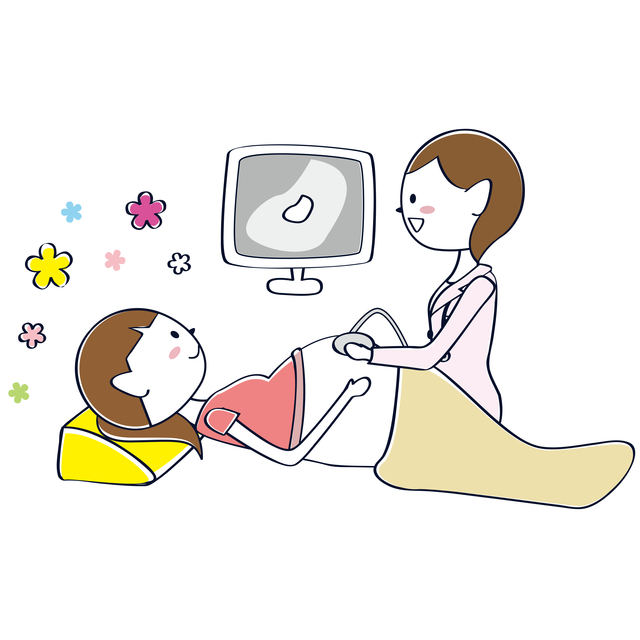 妊婦健診のエコー検査,27週,胎児,