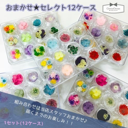 GreenOcean おまかせ12種(^^) お花いっぱい 押し花・ドライフラワーセット,イヤリング,作り方,