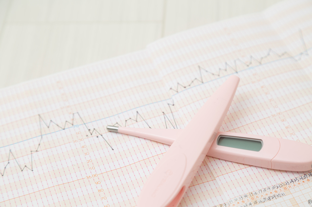 基礎体温グラフ,妊娠時,基礎体温,