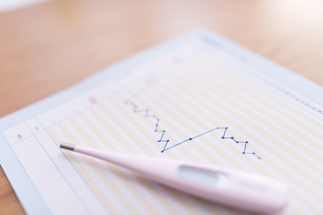 基礎体温高温期イメージ,妊娠,発熱,