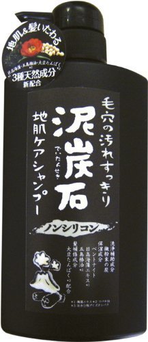 泥炭石 地肌ケアシャンプー 500ml,頭,臭い,