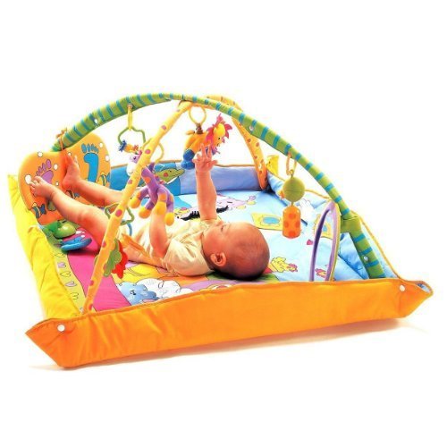 TINY LOVE ジミニー・トータルプレイグラウンド【正規代理店(株式会社日本育児)の1年保証付き】,ベビージム,いつから,