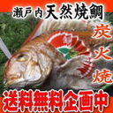 【送料無料】【祝い鯛】 1Kgアップ お食い初め お祝い用【祝い飾り付き】 天然焼き鯛　祝鯛　炭火焼 淡路島・明石鯛を心を込めて焼き上げます。にらみ鯛にも最適な【鯛の塩焼き】。天然焼鯛の祝鯛【鯛の尾頭付き】おくいぞめ　に最適！【お食い初め鯛】,お食い初めセット,