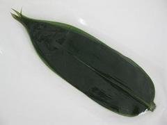 国産　笹の葉（熊笹） 10枚,お弁当,仕切り,