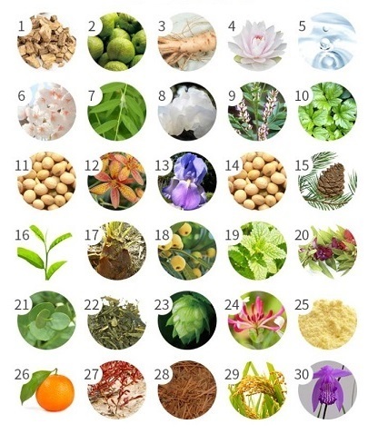 スカルプD ボーテ3,