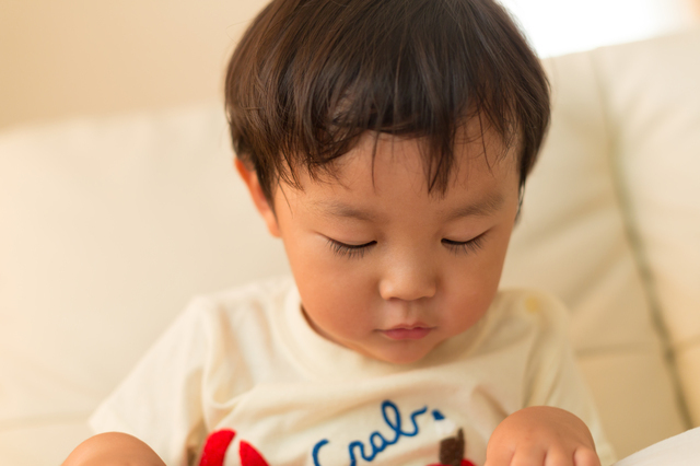 3歳の男の子,Z会,3歳,口コミ