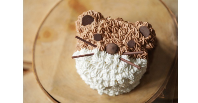 ZOO Kids Sweets Party,