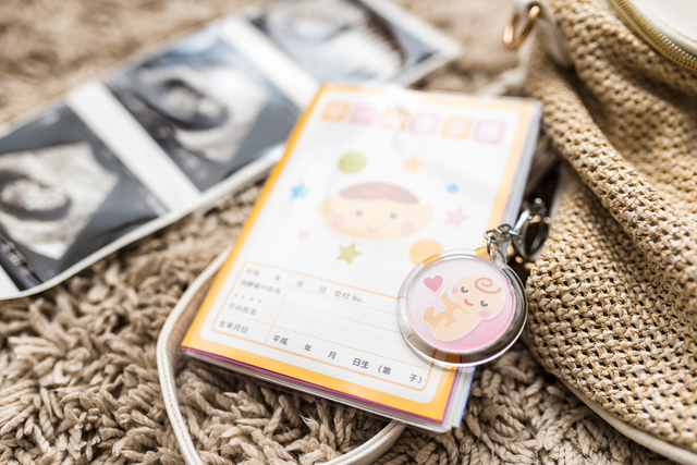 母子手帳ケース必要,母子手帳ケース,おすすめ,