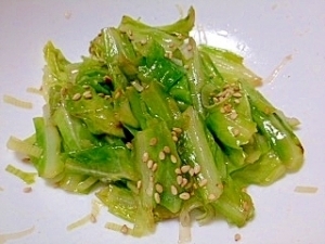 春キャベツのネギ塩ダレナムル,春野菜,レシピ,