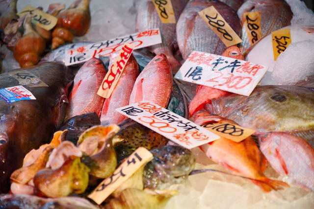 魚市場,離乳食,魚,