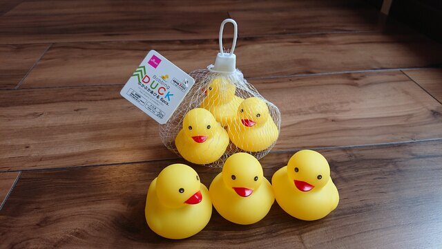 あひる,100均,おもちゃ,