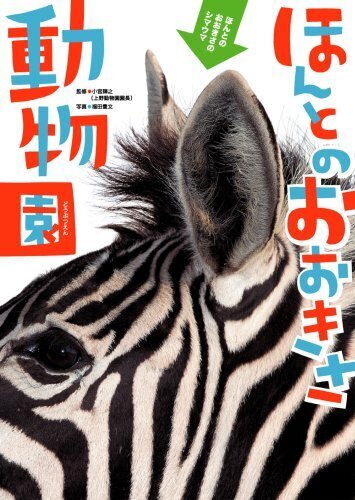ほんとのおおきさ動物園,小学生,絵本,