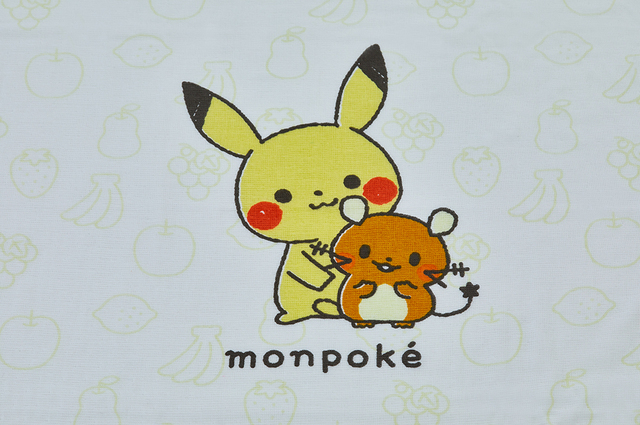 ピカチュウとデデンネのイラスト,