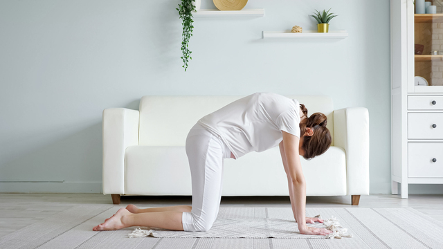 四つ這い,妊娠中,室内運動,