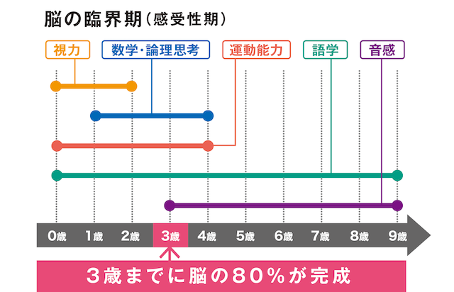 脳の臨界期,
