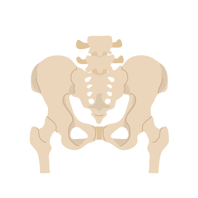骨盤,産後,恥骨痛,