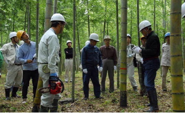 竹林保護,離乳食,食器,