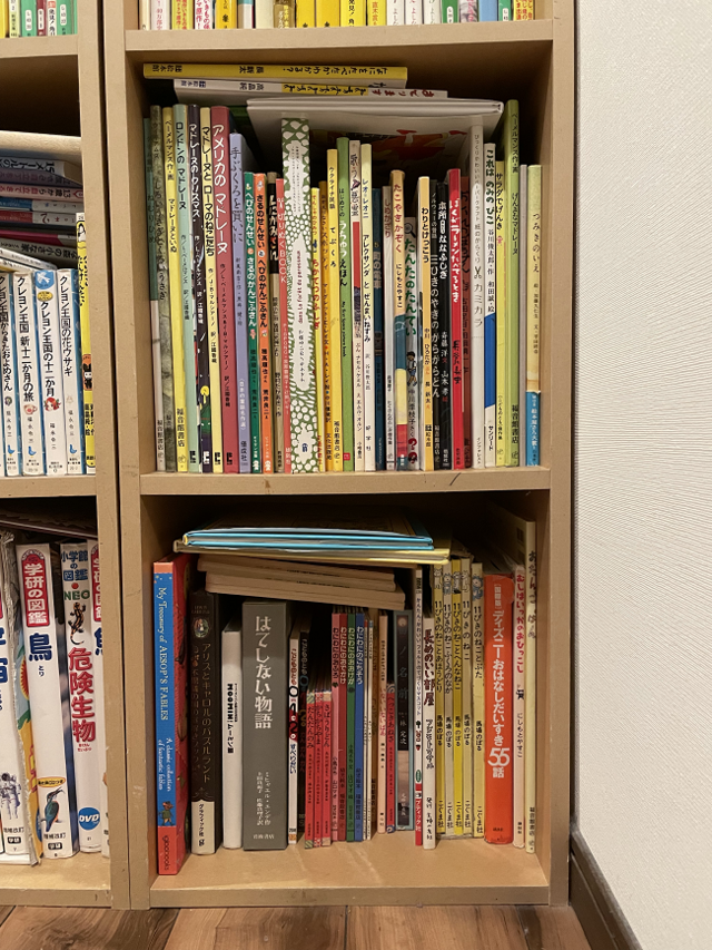 ぐちゃぐちゃ本棚,整理収納,子ども,
