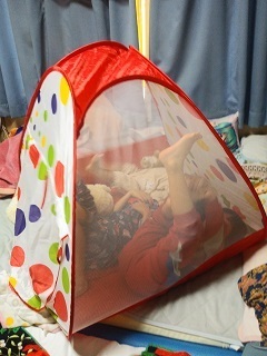 テント 子ども用 ボールハウス,コズレ,プレゼント,当選