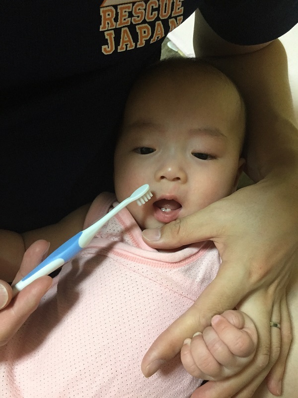歯を磨いてもらっている赤ちゃん,コズレ,プレゼント,当選