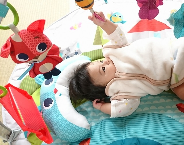 プレイジムで遊ぶ赤ちゃん,コズレ,プレゼント,当選