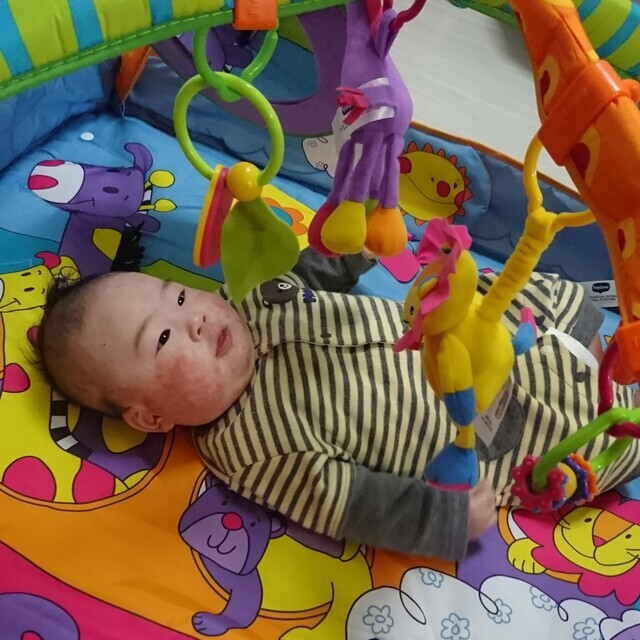 プレイジム1,コズレ,プレゼント,当選