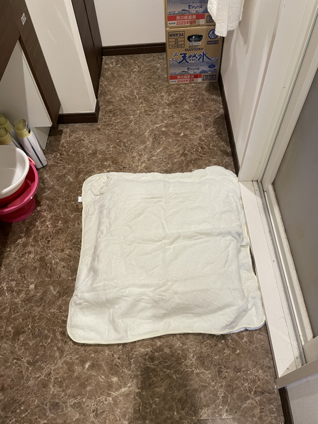 赤ちゃんの着替え場所,整理,収納,洗面所