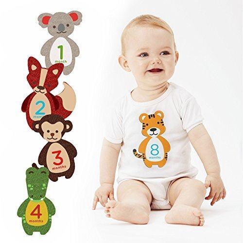 pearhead フェルト・ベリーステッカー/ニュートラル 【ブログ・SNS】【マタニティー】【月齢】 NZPH60038,マタニティフォト,おしゃれ,