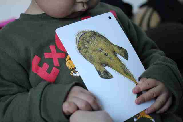 くもん 知育カード「川や海の生きものカード」を持つ子ども,くもん,カード,