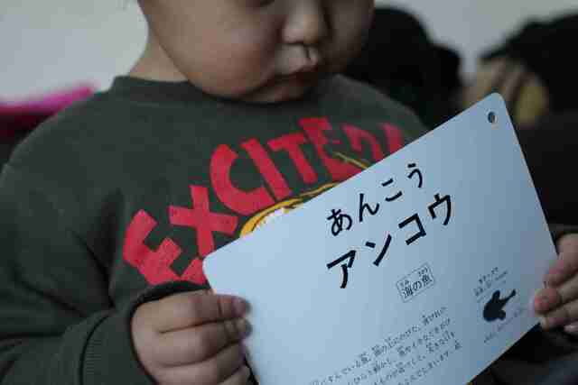 くもん 知育カード「川や海の生きものカード」で名前を覚える,くもん,カード,