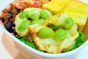 カリカリチーズ枝豆,お弁当,彩り,