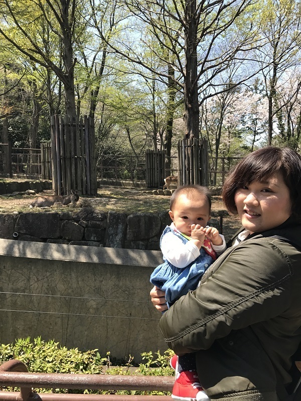 桜の木の前に立つ親子,横浜,金沢動物園,人気