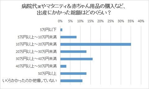 妊娠・出産費用のアンケート結果,おめでた,退職,給付金