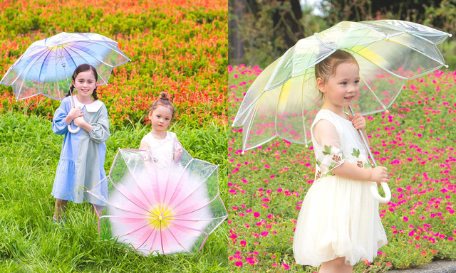 フラワーフェアリーズアンブレラ,