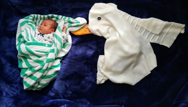 寝相アートコウノトリ,ねぞうアート,簡単,グッズ