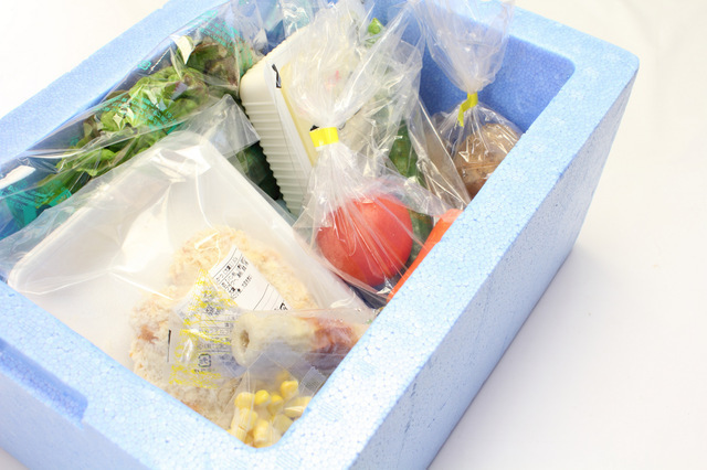 宅配サービス,妊娠初期,気をつけること,