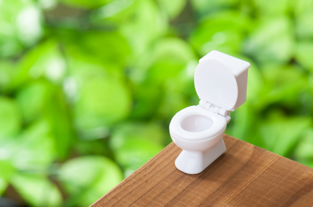 洋式トイレ,妊娠,9週,症状