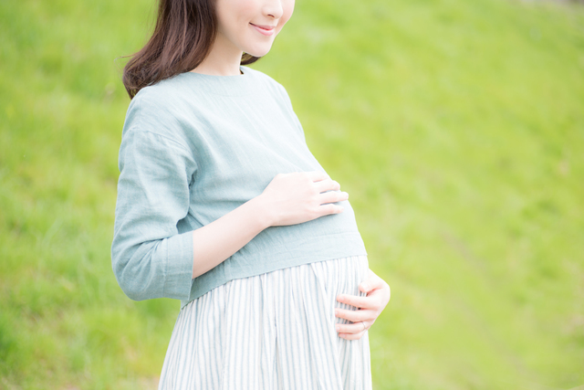 妊婦おなか,妊娠28週,胎児,