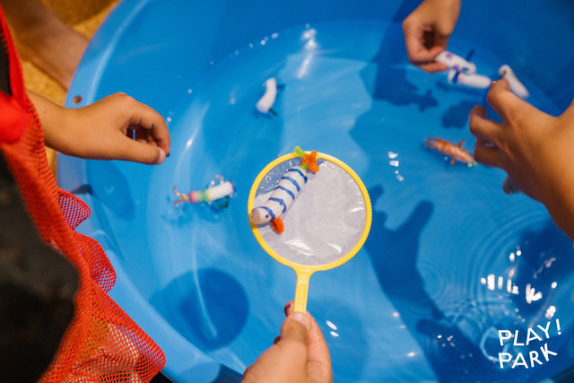 新種発見!ミナウオ,