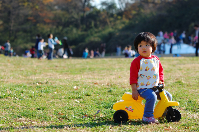 原っぱで三輪車,三輪車,1歳,